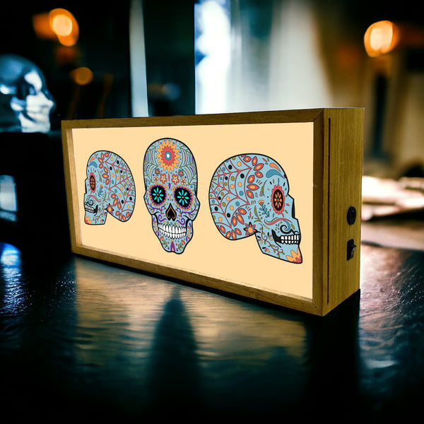 Light Box Home Skull Set