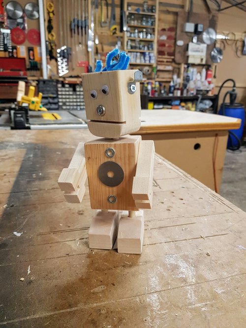 Build your own robot kit