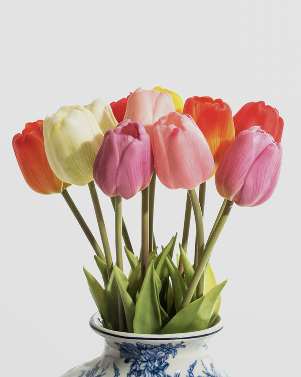 Assorted Mixed Colour Tulip Stems