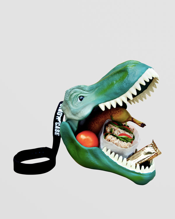 Dinosaur Lunch Box