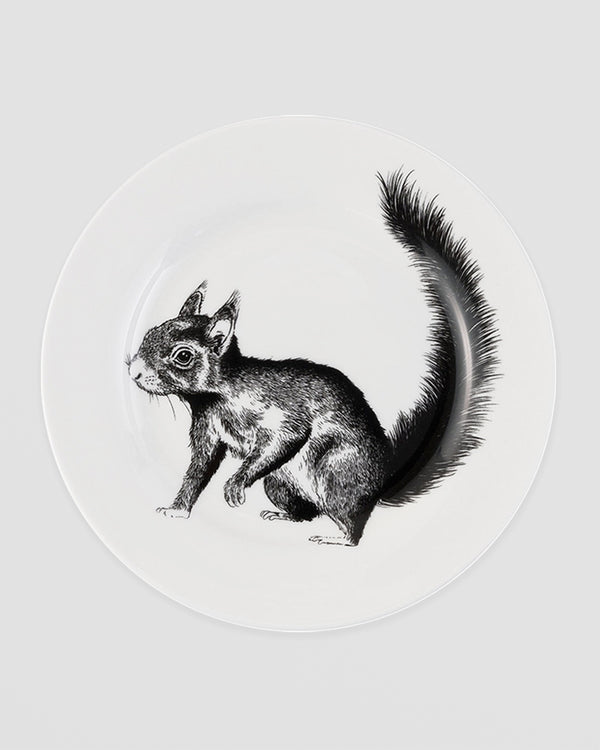 British Wildlife Collection  Squirrel side plate