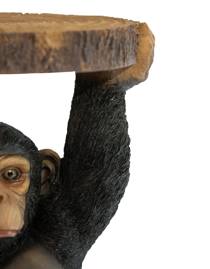 Chimpanzee Holding "Trunk Slice" Side Table