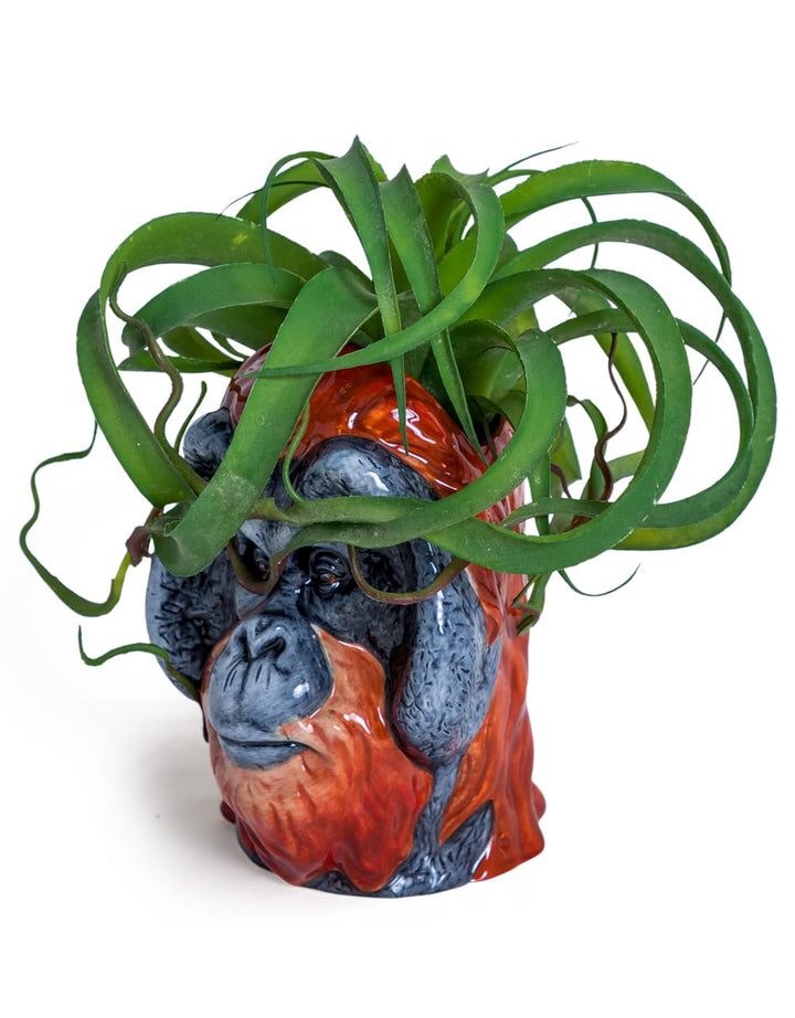 Hand Painted Ceramic Orangutan Head Storage Jar/Vase