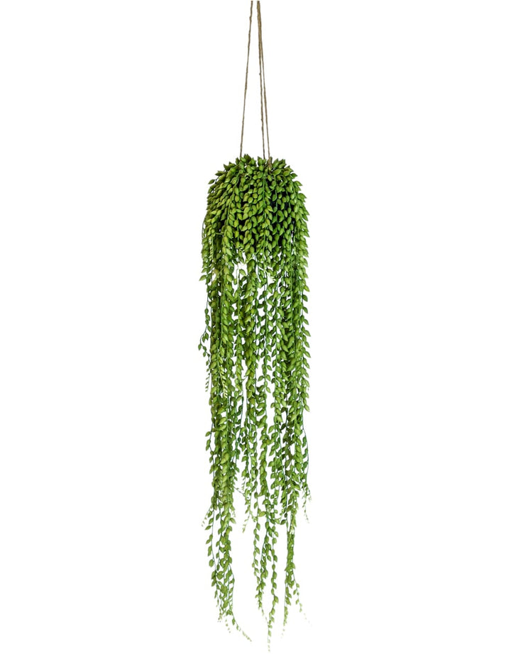 Ornamental Hanging String of Pearls Vine Arrangement (to be bought in qtys of 6)