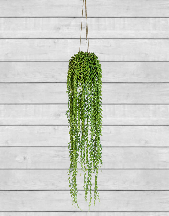 Ornamental Hanging String of Pearls Vine Arrangement (to be bought in qtys of 6)