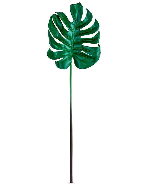 Ornamental Split Philo Leaf Single Stem (to be bought in qtys of 24)