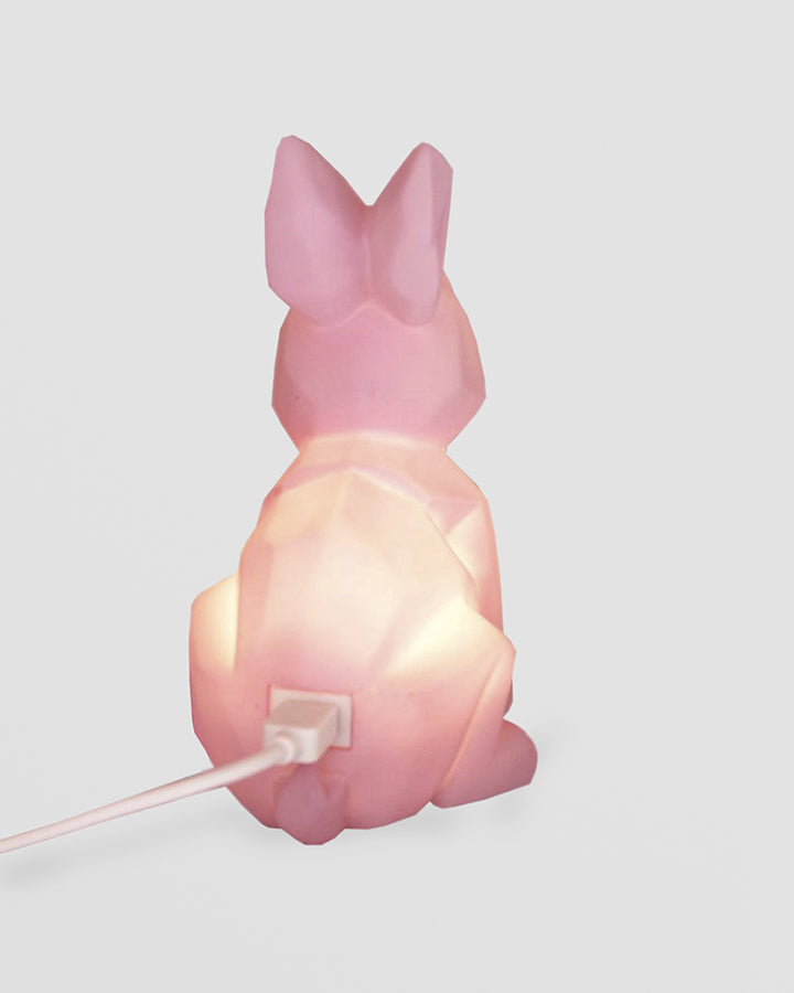 Pink Rabbit Mini LED Lamp Additional 2