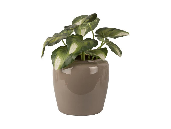 Plant Pot Grand Large - Warm grey Additional 2