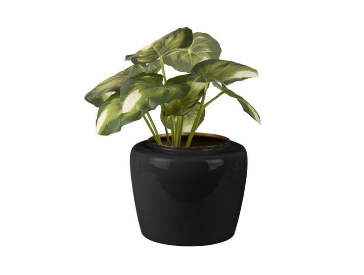 Plant Pot Grand Medium - Black Additional 1