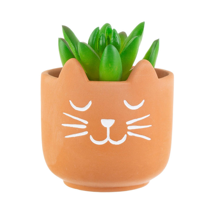 Mini Cat's Whiskers Terracotta Planter [D] Additional 3