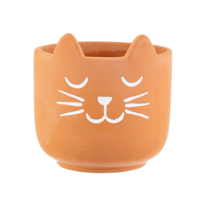 Mini Cat's Whiskers Terracotta Planter [D] Additional 2