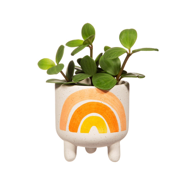 Mini Rainbow Planter on Legs