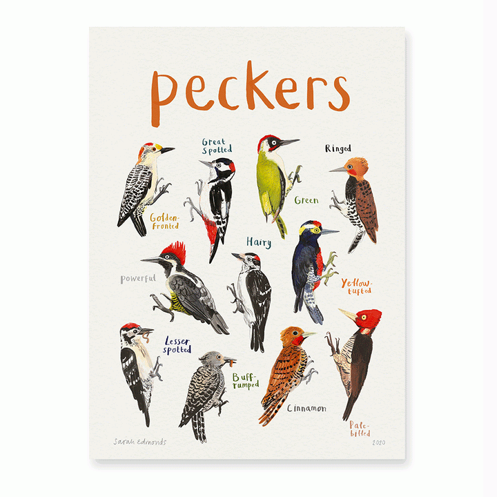 Peckers A4 Print [D] Additional 2