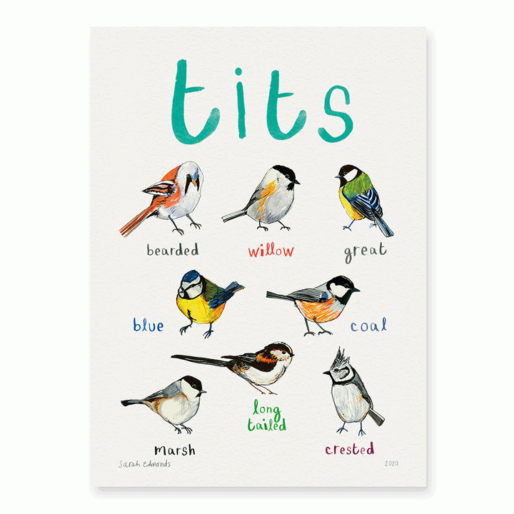 Tits A4 Print [D] Additional 2